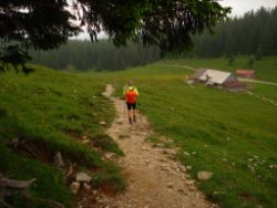2013-06-23_Sonnenspitz_Jochberg (419).JPG